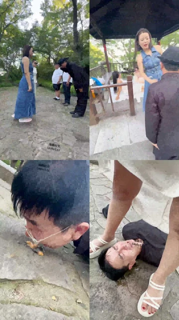 【猪猪】奴隶庄园