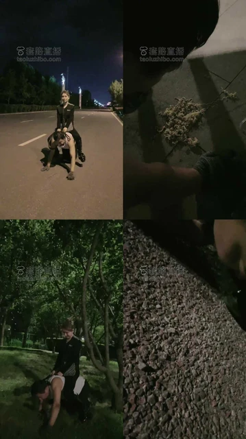 【妮可】夜间户外马路遛狗骑马