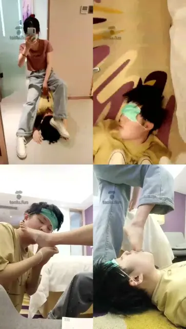 【第一次尝试的狗】高清 第一次尝试的狗狗 