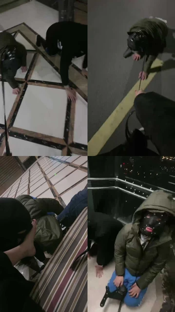 【桃幼幼】学生主户外溜双狗