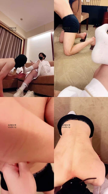 【冷颜】挂狗牌/强制圣水/原味白袜虐