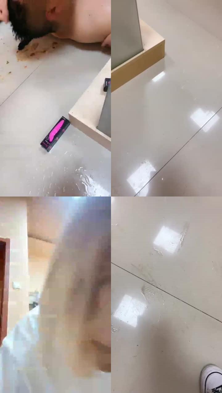 【梦樱】 调教贱狗  官方已删   